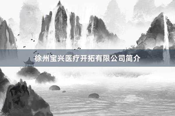 徐州宝兴医疗开拓有限公司简介