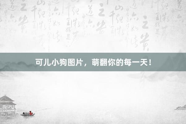 可儿小狗图片，萌翻你的每一天！