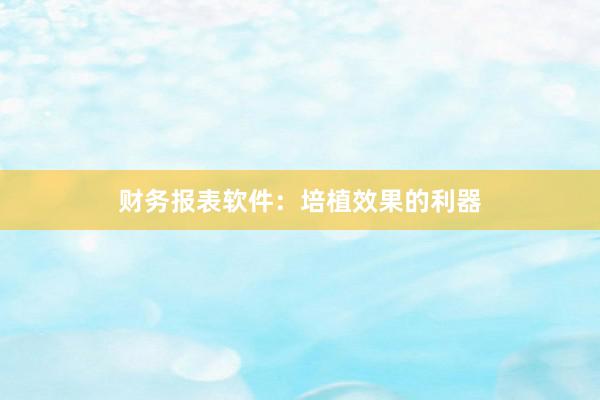 财务报表软件：培植效果的利器